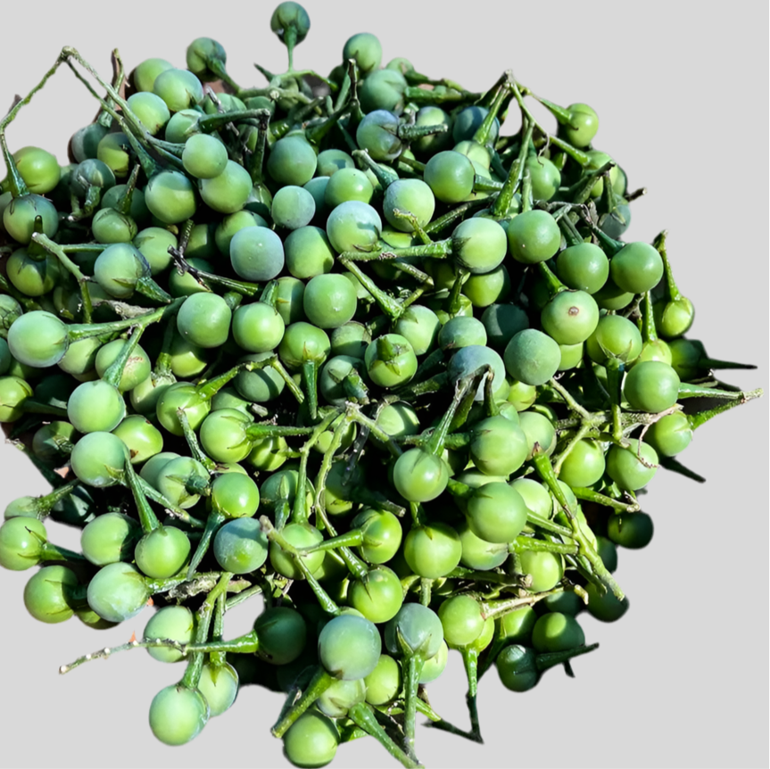 Daliha Turkey Berry Powder (2x60g)