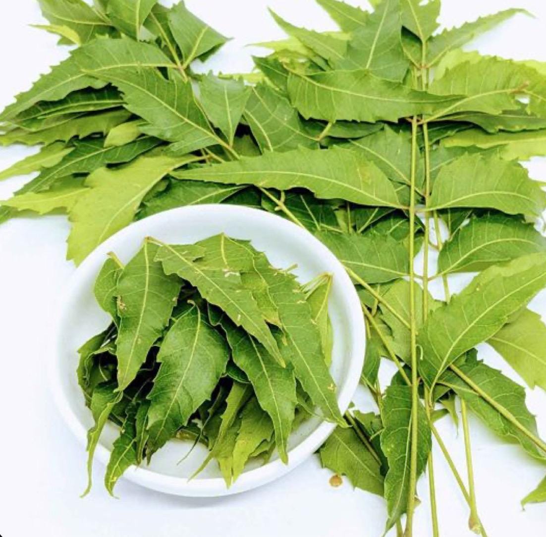 Organic Neem Leaf Capsules (120 Capsules)
