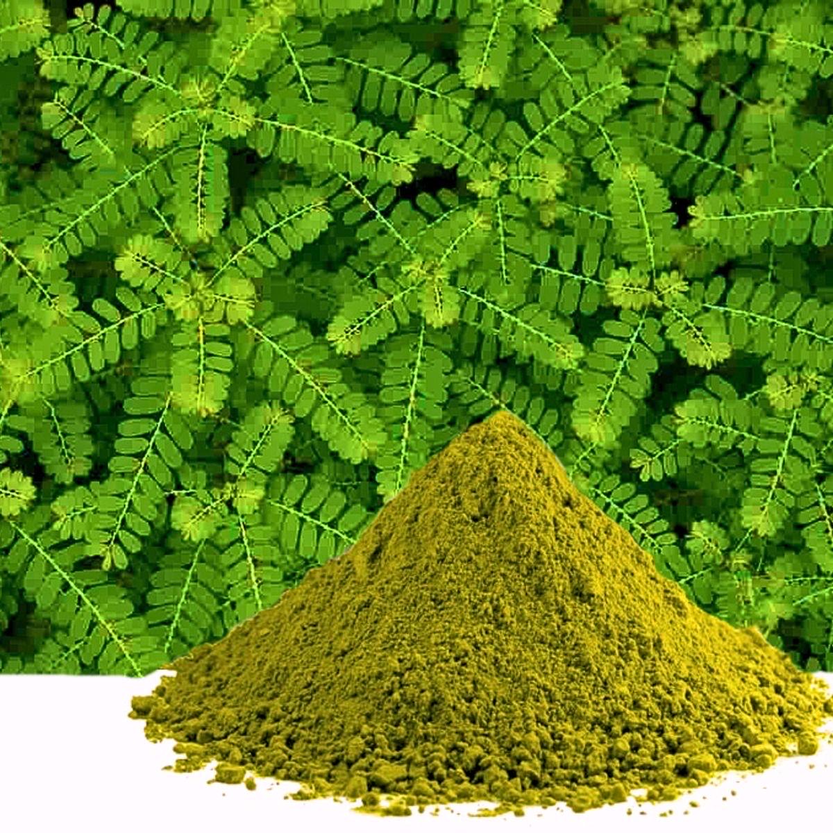 Organic Moringa Leaf Powder